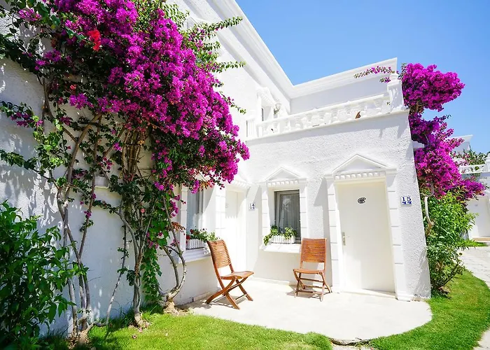 Art 3* יאליקאבאק